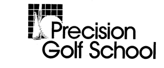 PRECISION GOLF SCHOOL logo