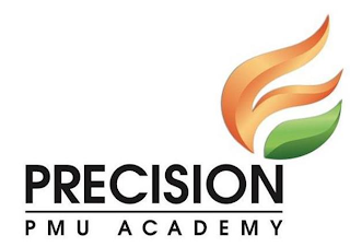 PRECISION PMU ACADEMY logo