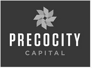 PRECOCITY CAPITAL logo