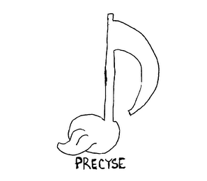 PRECYSE logo