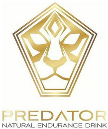PREDATOR NATURAL ENDURANCE DRINK logo