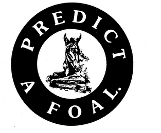 PREDICT A FOAL logo