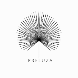 PRELUZA logo