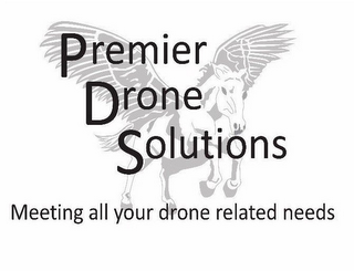 PREMIER DRONE SOLUTIONS MEETING ALL YOUR DRONE RELATED NEEDS logo