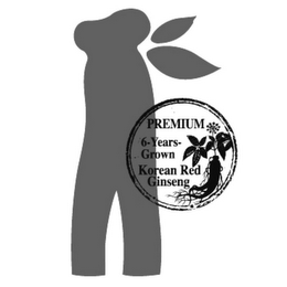 PREMIUM 6-YEARS-GROWN KOREAN RED GINSENG logo