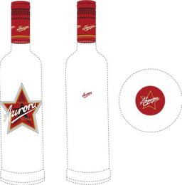 PREMIUM AURORA VODKA logo