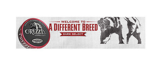 PREMIUM DARK SELECT GRIZZLY LONG CUT EST 1900 AMERICAN SNUFF CO. WELCOME TO A DIFFERENT BREED DARK SELECT logo