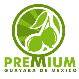 PREMIUM GUAYABA DE MEXICO logo