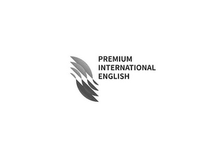 PREMIUM INTERNATIONAL ENGLISH logo