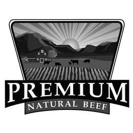 PREMIUM NATURAL BEEF logo