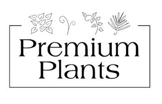 PREMIUM PLANTS