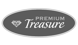 PREMIUM TREASURE logo