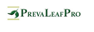 PREVALEAFPRO logo
