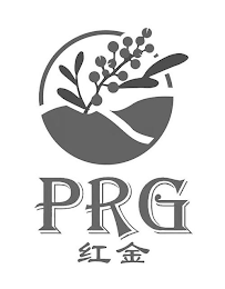 PRG logo