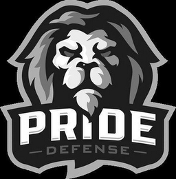 PRIDE DEFENSE logo