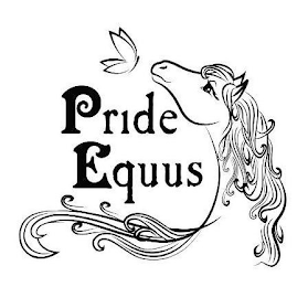 PRIDE EQUUS logo