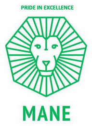 PRIDE IN EXCELLENCE MANE logo