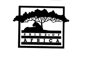 PRIDE OF AFRICA logo