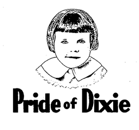 PRIDE OF DIXIE logo