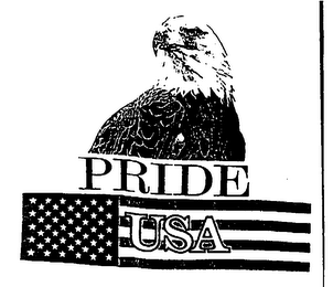 PRIDE USA logo