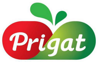 PRIGAT logo