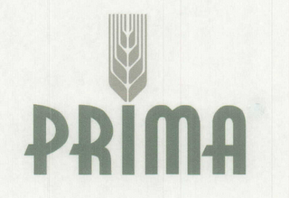 PRIMA logo