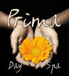 PRIMA DAY SPA logo