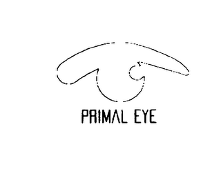 PRIMAL EYE logo
