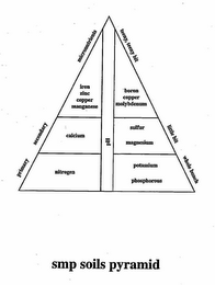PRIMARY SECONDARY MICRONUTRIENTS TEENY, TEENY BIT LITTLE BIT WHOLE BUNCH IRON ZINC COPPER MANGANESE CALCIUM NITROGEN BORON COPPER MOLYBDENUM SULFUR MAGNESIUM POTASSIUM PHOSPHOROUS PH SMP SOILS PYRAMID logo