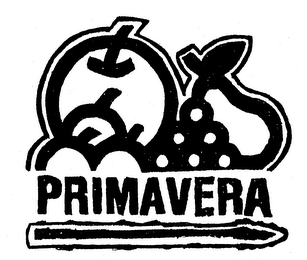 PRIMAVERA logo
