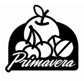 PRIMAVERA logo