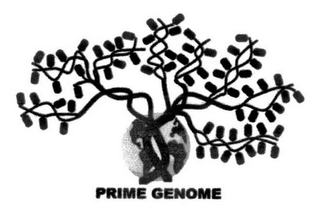PRIME GENOME logo