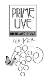 PRIME UVE BIANCHE DISTILLATO D'UVA logo