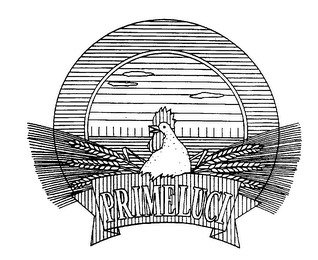 PRIMELUCI logo