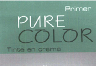 PRIMER PURE COLOR TINTE EN CREMA logo
