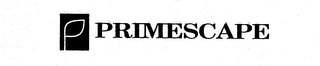 PRIMESCAPE logo