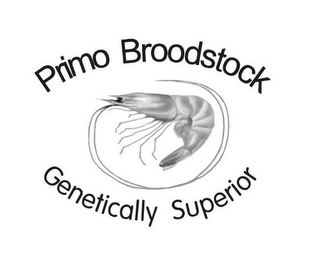 PRIMO BROODSTOCK GENETICALLY SUPERIOR logo