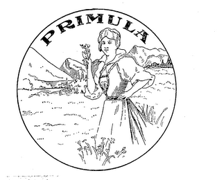 PRIMULA logo