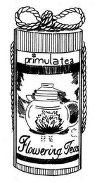 PRIMULA TEA FLOWERING TEAS