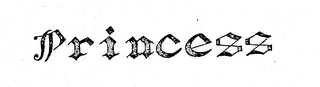 PRINCESS logo
