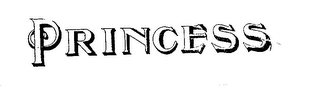 PRINCESS logo