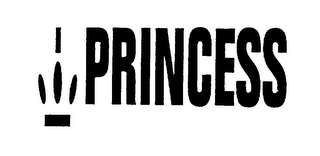 PRINCESS logo