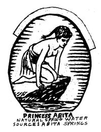 PRINCESS ABITA NATURAL SPRING WATER SOURCE: ABITA SPRINGS logo