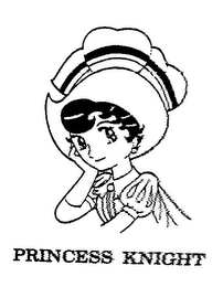 PRINCESS KNIGHT logo