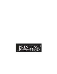 PRINCESS PLUS logo