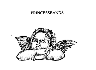 PRINCESSBANDS logo