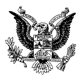 PRINCETON CAPITAL EPLURIBUS UNUM INTEGRITY EXCELLENCE SERVICE logo