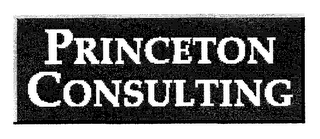 PRINCETON CONSULTING logo