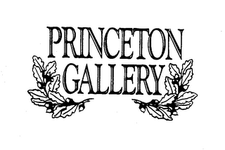 PRINCETON GALLERY logo