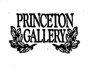 PRINCETON GALLERY logo